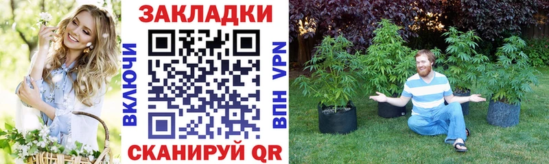  COCAIN Ижевск