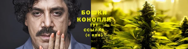 прущие грибы Володарск
