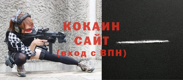 прущие грибы Володарск