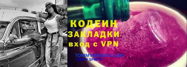 прущие грибы Володарск