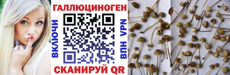 hydra зеркало  Ижевск  Галлюциногенные грибы Magic Shrooms 